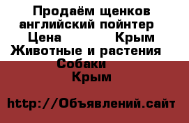 Продаём щенков английский пойнтер › Цена ­ 5 000 - Крым Животные и растения » Собаки   . Крым